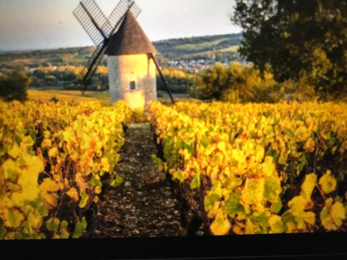Maison M On The Dordogne Sainte-Foy-la-Grande Luaran gambar